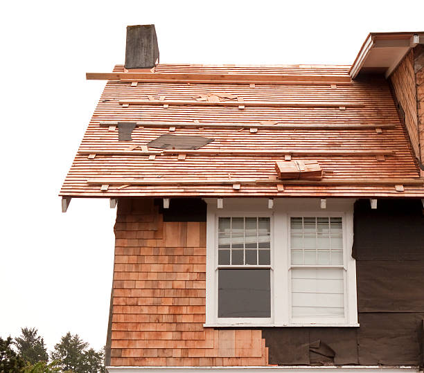 Affordable Siding Repair and Maintenance Services in Plentywood, MT